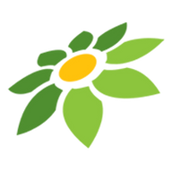 BLINK MOD APK